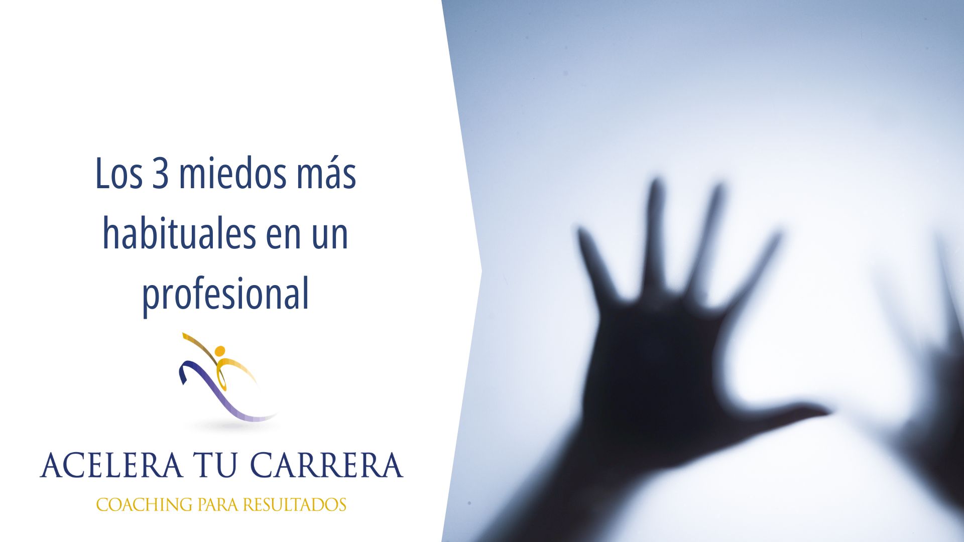 Los 3 miedos más habituales en un profesional